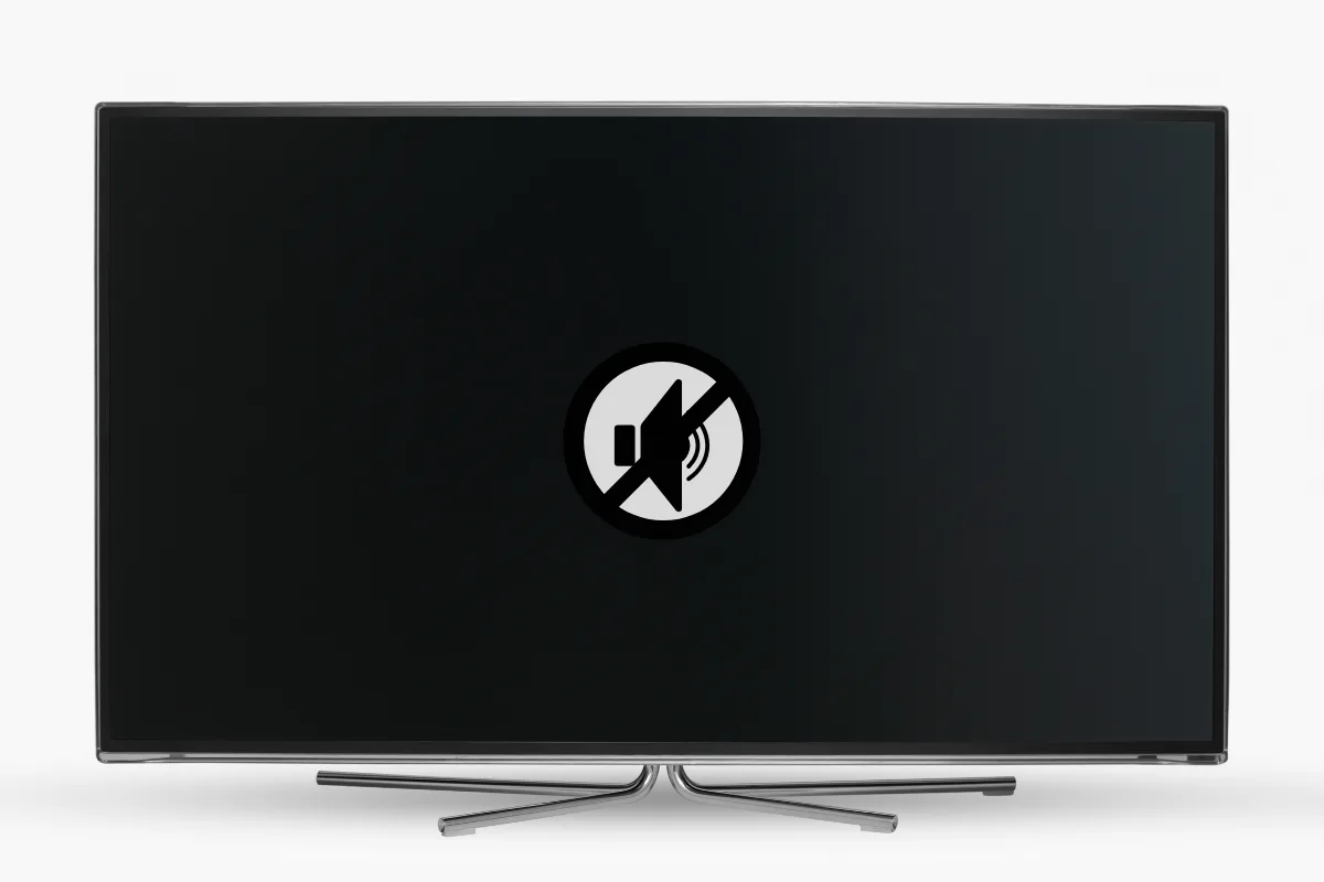 Samsung TV Sound Repair